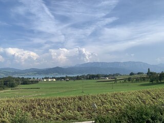 Holiday house Attersee am Attersee Environment 20