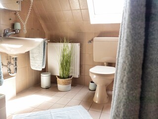 Badezimmer mit Dusche und WC