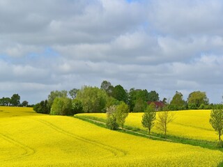 Appartamento Dorf Mecklenburg Ambiente 25