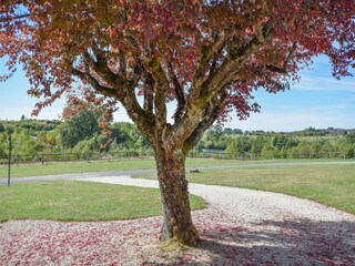 Parco vacanze Saint-Médard-d'Excideuil Registrazione all'aperto 4