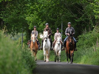 Parco vacanze Saint-Médard-d'Excideuil Ambiente 22