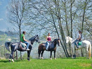 Parc de vacances Vesio  11