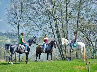 Holiday park Vesio  15