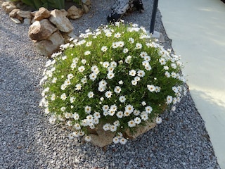 Apartment Drapia  36