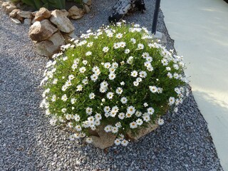 Appartamento Drapia  36