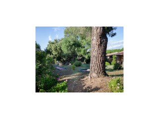 Holiday house Serra-di-Ferro Outdoor Recording 6