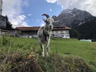 Appartamento per vacanze Balderschwang Ambiente 12