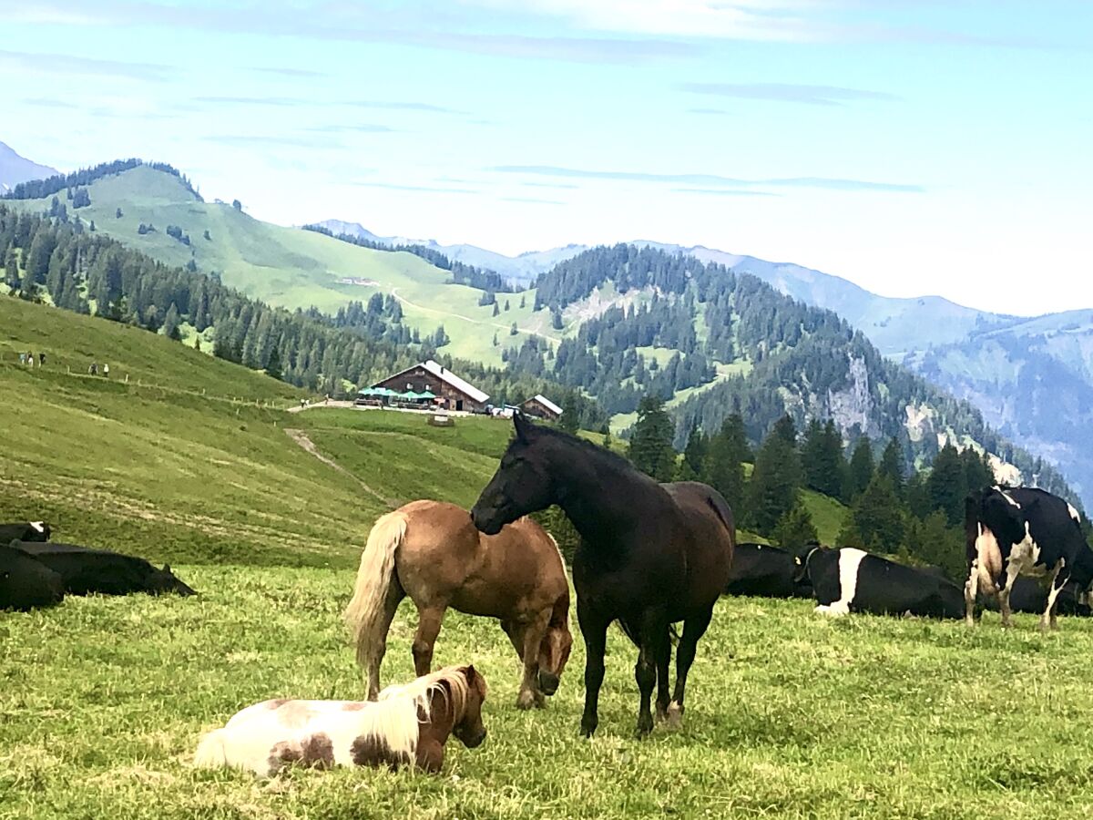 Schöne Wanderwege