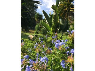 Finca Bunyola Enregistrement extérieur 11