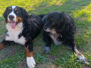 Tenuta Bunyola Registrazione all'aperto 15