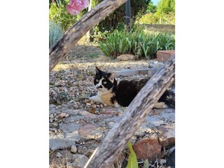 Finca Bunyola Grabación al aire libre 15
