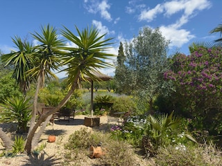 Finca Bunyola Outdoor Recording 20