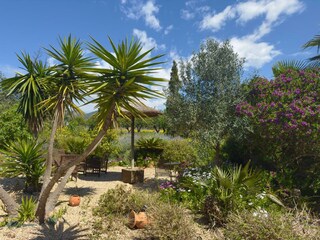Finca Bunyola Grabación al aire libre 21