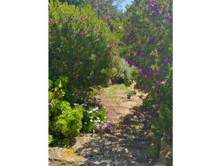 Finca Bunyola Entorno 34