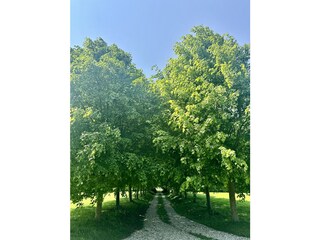 Villa Varengeville-sur-Mer Outdoor Recording 3