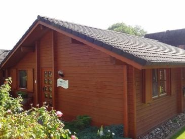 Ferienhaus Silbermöwe im Ferienpark Harmsen