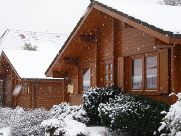Ferienhaus Silbermöwe im Ferienpark Harmsen