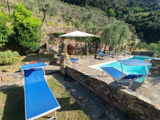 Viele Sonnenliegen und Pool direkt am Haus