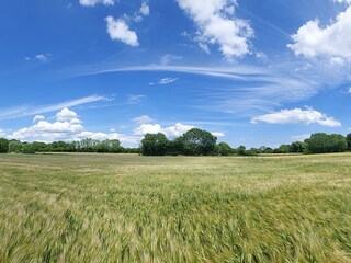 Ferienhaus Sydals Umgebung 18