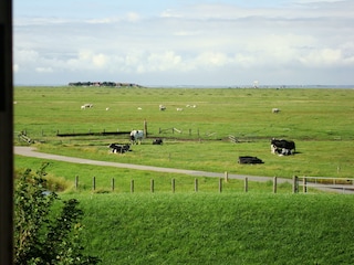 Aussicht auf die Backenswarft