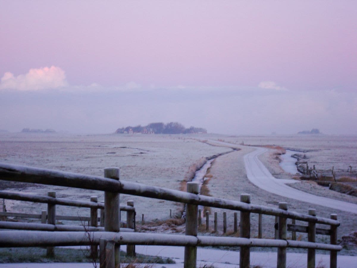 Winter auf der Hallig