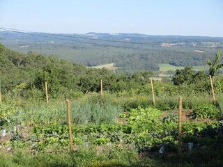 Ferienpark Saint-Médard-d'Excideuil Umgebung 21