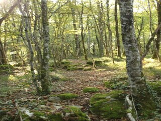 Holiday park Saint-Médard-d'Excideuil Environment 36