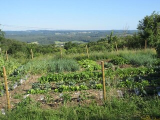 Parc de vacances Saint-Médard-d'Excideuil Environnement 28