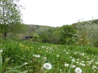 Holiday park Saint-Médard-d'Excideuil Environment 37