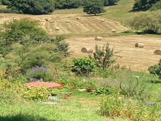 Parc de vacances Saint-Médard-d'Excideuil Environnement 40