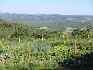 Holiday park Saint-Médard-d'Excideuil Environment 45