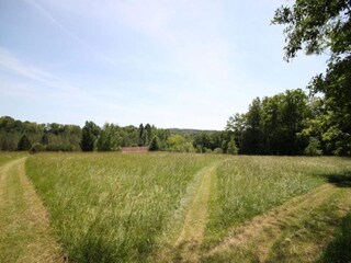 Holiday park Saint-Médard-d'Excideuil Environment 48