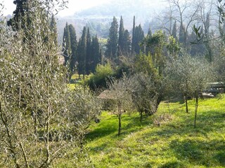 Parque de vacaciones Vecchiano Grabación al aire libre 9