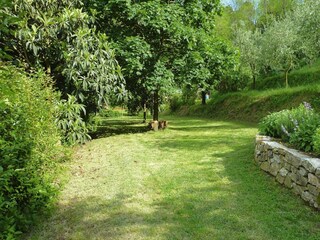 Parc de vacances Vecchiano Enregistrement extérieur 5