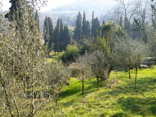Parc de vacances Vecchiano Enregistrement extérieur 7
