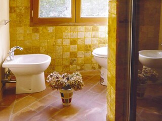 Parco vacanze Vecchiano Caratteristiche 16