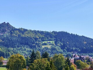 Apartment Bodenmais Umgebung 15