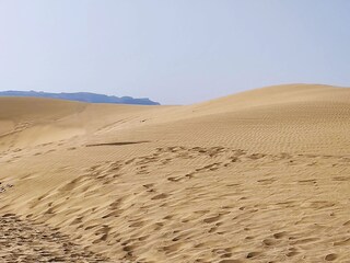 Dünen am Strand