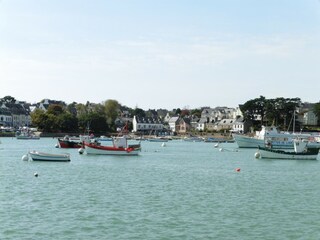 Ferienhaus Clohars-Carnoët Umgebung 19