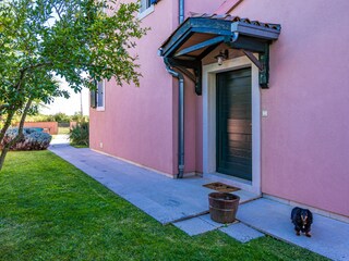 Villa Radetići Grabación al aire libre 10