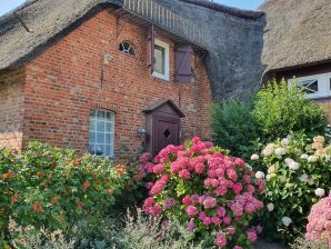 Ferienwohnung Hahnenhof Föhr Wohnung 9 - Wrixum - image1