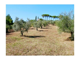 Casa per le vacanze Roccastrada Registrazione all'aperto 4