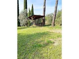 Casa per le vacanze Roccastrada Registrazione all'aperto 3