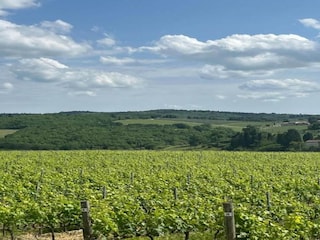 Cottage San Donato in Poggio Umgebung 25