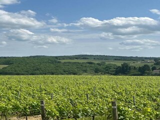 Vakantiehuisje San Donato in Poggio Omgeving 27