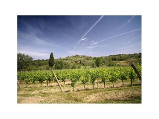 Maison de vacances San Donato in Poggio Environnement 13