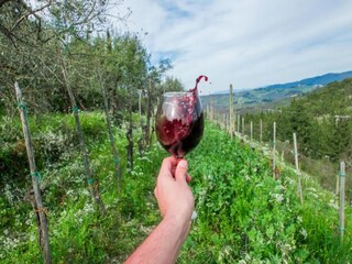 Vakantiehuis San Donato in Poggio Omgeving 15