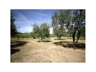 Maison de vacances San Donato in Poggio Environnement 22