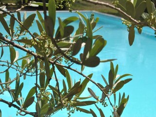 Apartment San Donato in Poggio Environment 21