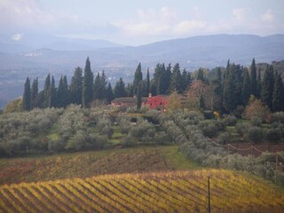Ferienhaus San Donato in Poggio Umgebung 26